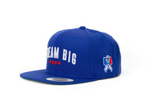 Load image into Gallery viewer, RHofK x Rizzo Dream Big Blue Stitch